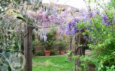 Casa colonica in pietra con piscina