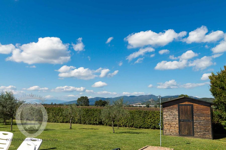 Magnificent leopoldina recently renovated