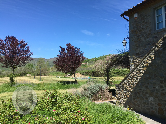 Giardino - Casa colonica in pietra con piscina