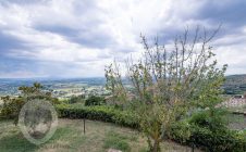 Stone farmhouse near Cortona