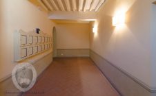 Bright apartment on the ground floor