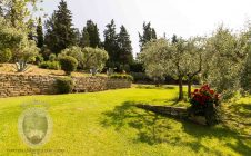 Meravigliosa villa liberty a Cortona