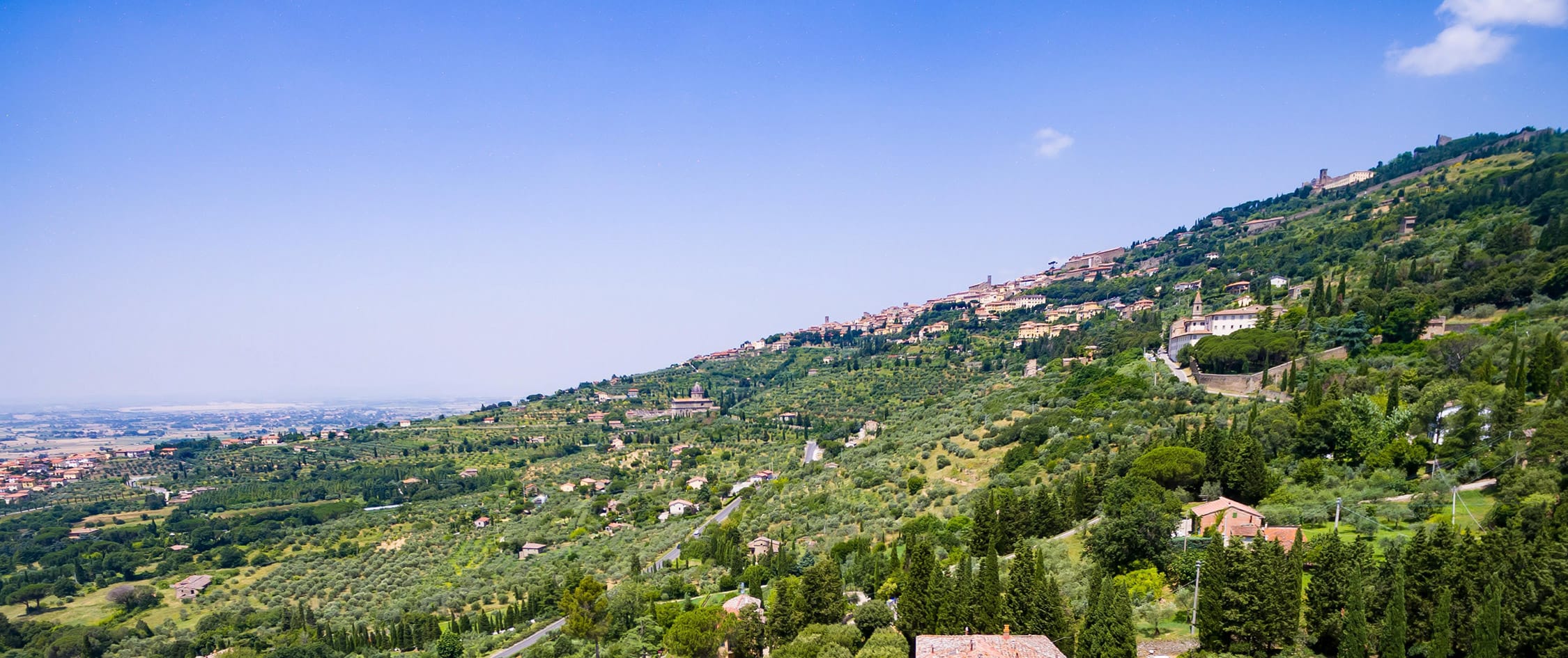 Cortona Immobiliare