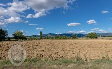 Farmhouse with swimming pool in Valdichiana