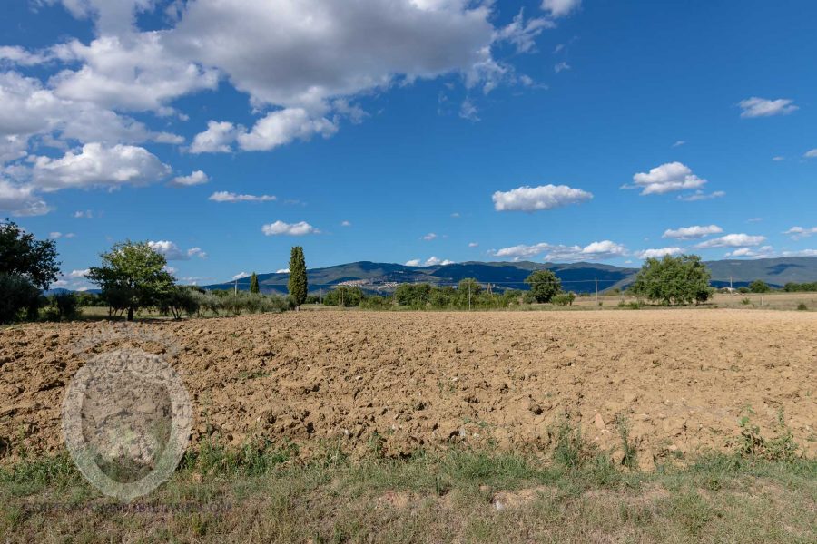 Farmhouse with swimming pool in Valdichiana