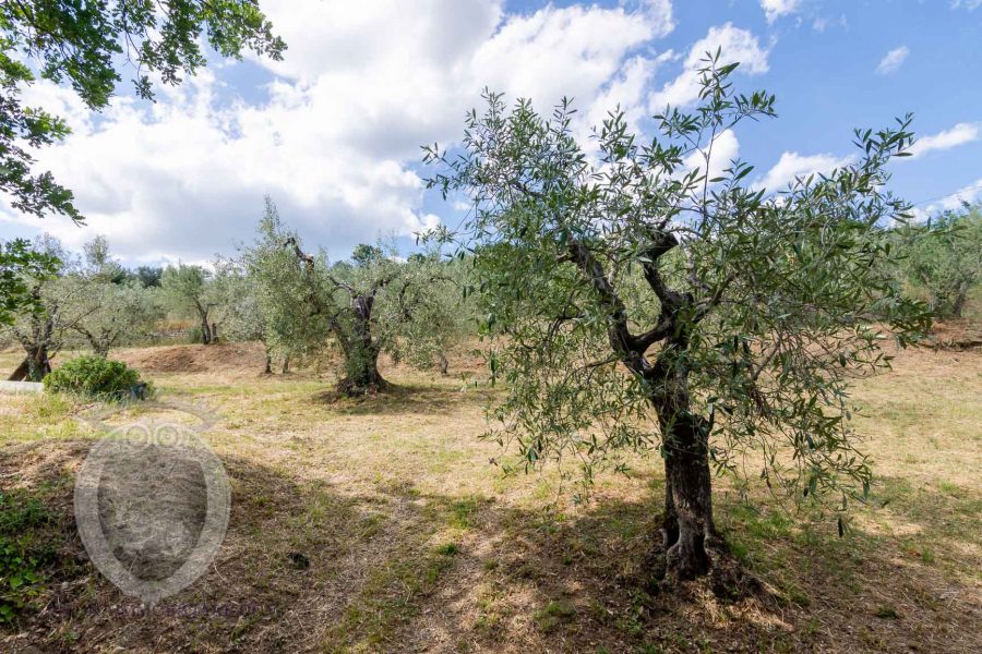 Bellissima casa colonica ristrutturata in in località Pergo