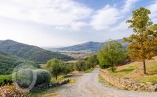 Magnificent stone farmhouse with 5 bedrooms and swimming pool