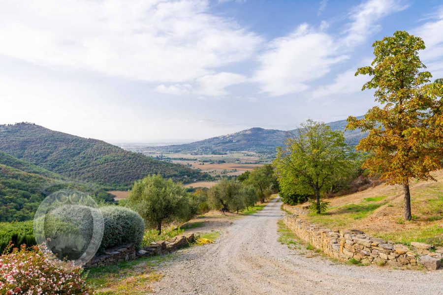 Magnificent stone farmhouse with 5 bedrooms and swimming pool