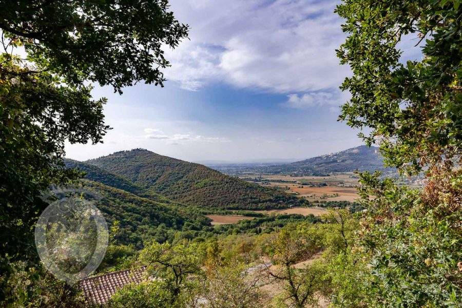 Magnificent stone farmhouse with 5 bedrooms and swimming pool