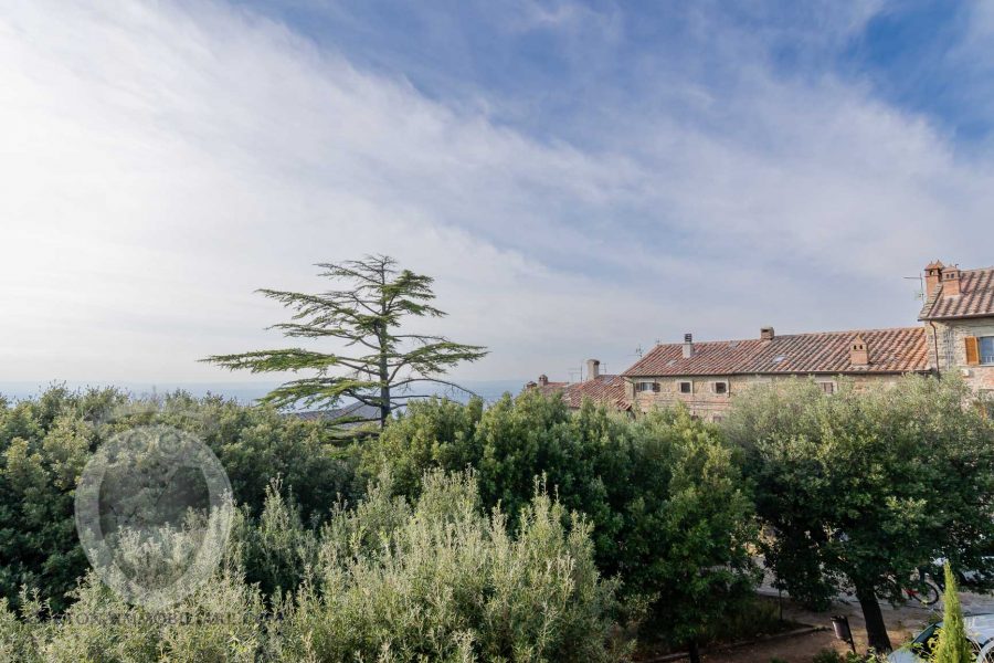 Fantastic townhouse with perfectly restored garden