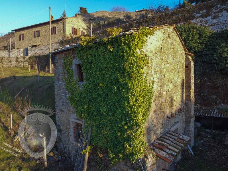 Antica villa in pietra con uliveto e vigneto all'interno delle mura di Cortona