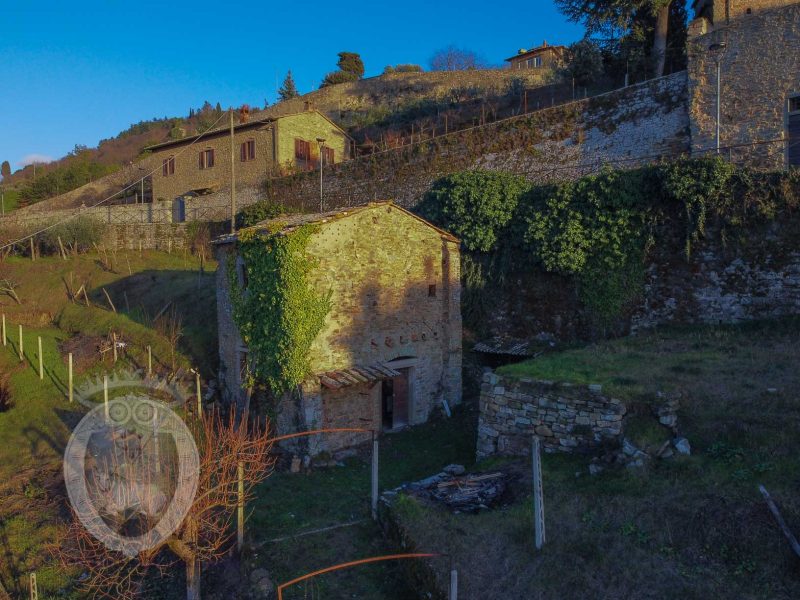Antica villa in pietra con uliveto e vigneto all'interno delle mura di Cortona