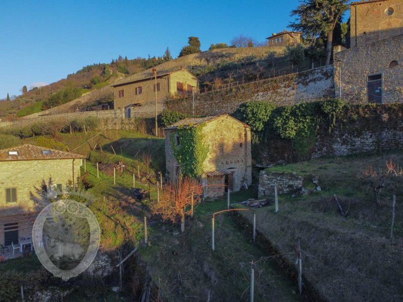 Antica villa in pietra con uliveto e vigneto all'interno delle mura di Cortona