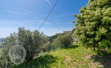 Apartment in a semi-detached house 500m from Piazza Garibaldi