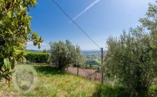 Apartment in a semi-detached house 500m from Piazza Garibaldi