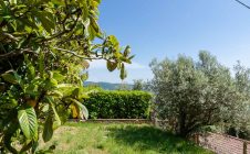 Apartment in a semi-detached house 500m from Piazza Garibaldi