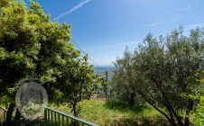 Apartment in a semi-detached house 500m from Piazza Garibaldi
