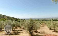 Colonica con 5 camere e piscina