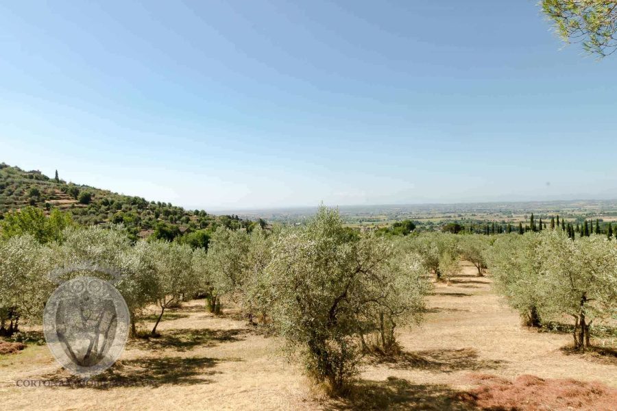 Colonica con 5 camere e piscina