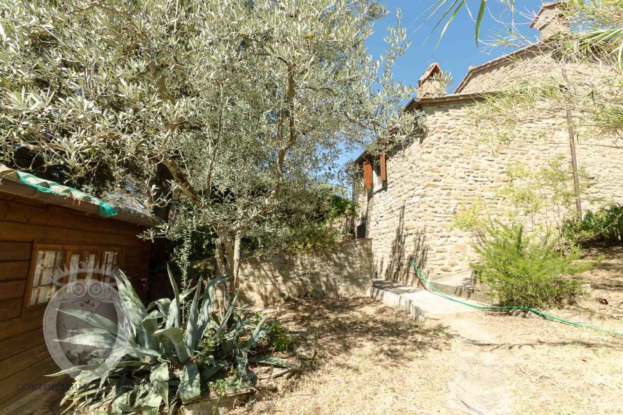 Farmhouse with 5 bedrooms and swimming pool