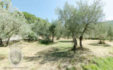 Farmhouse with 5 bedrooms and swimming pool