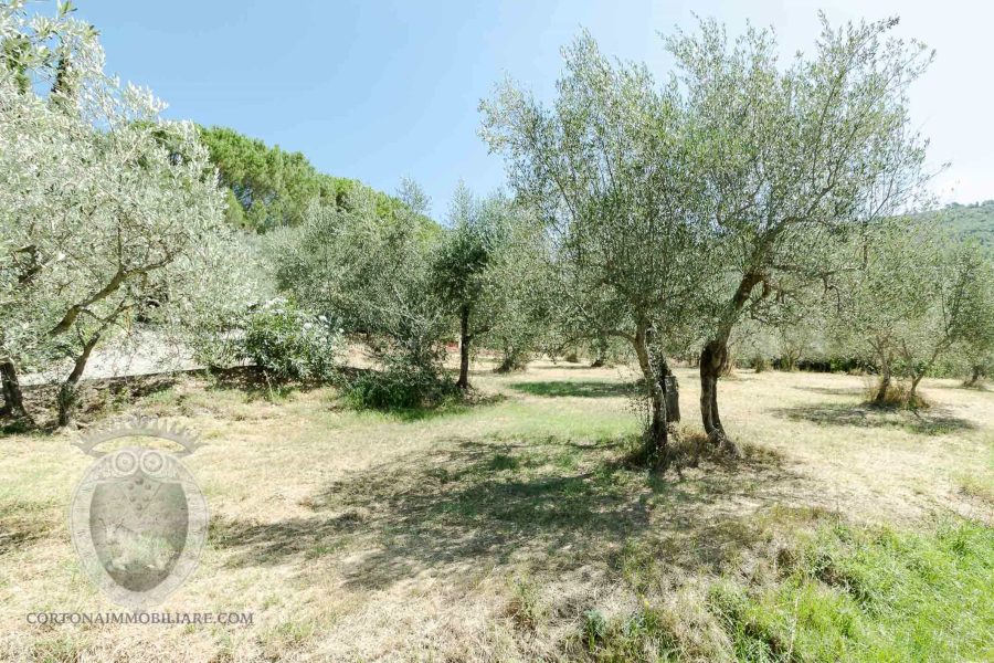 Farmhouse with 5 bedrooms and swimming pool