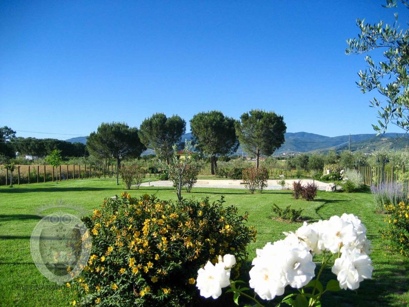 Casa indipendente con giardino privato 3 camere 2 salotti 2 cucine 2 bagni e piscina