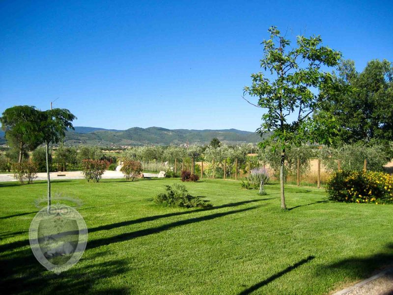 Casa indipendente con giardino privato 3 camere 2 salotti 2 cucine 2 bagni e piscina