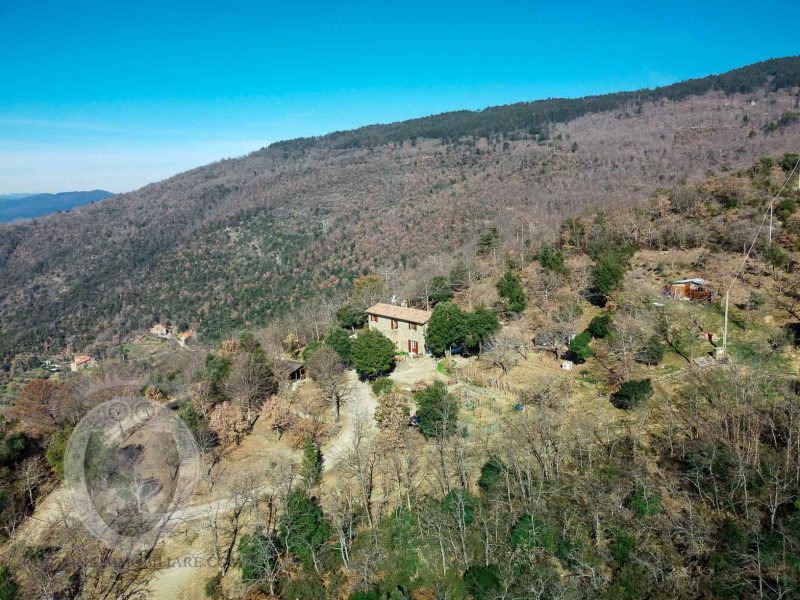 Panoramic farmhouse