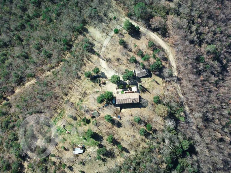 Panoramic farmhouse