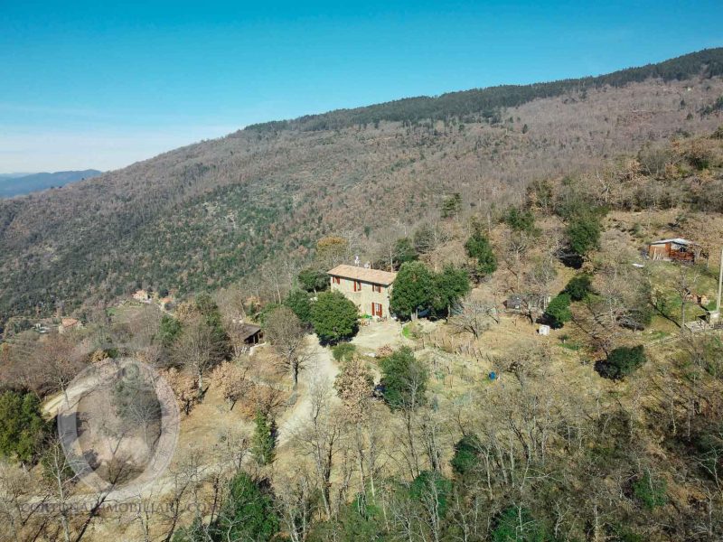 Panoramic farmhouse