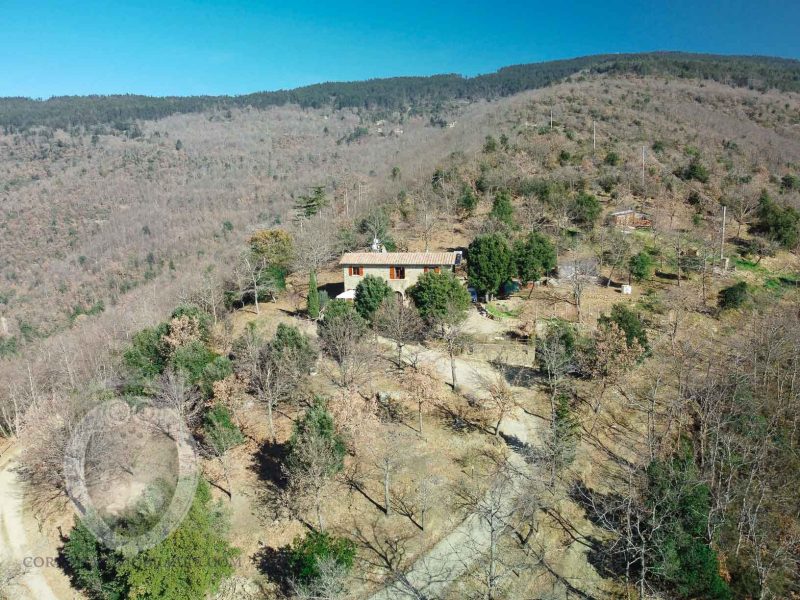 Panoramic farmhouse