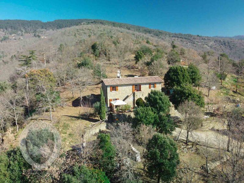 Panoramic farmhouse