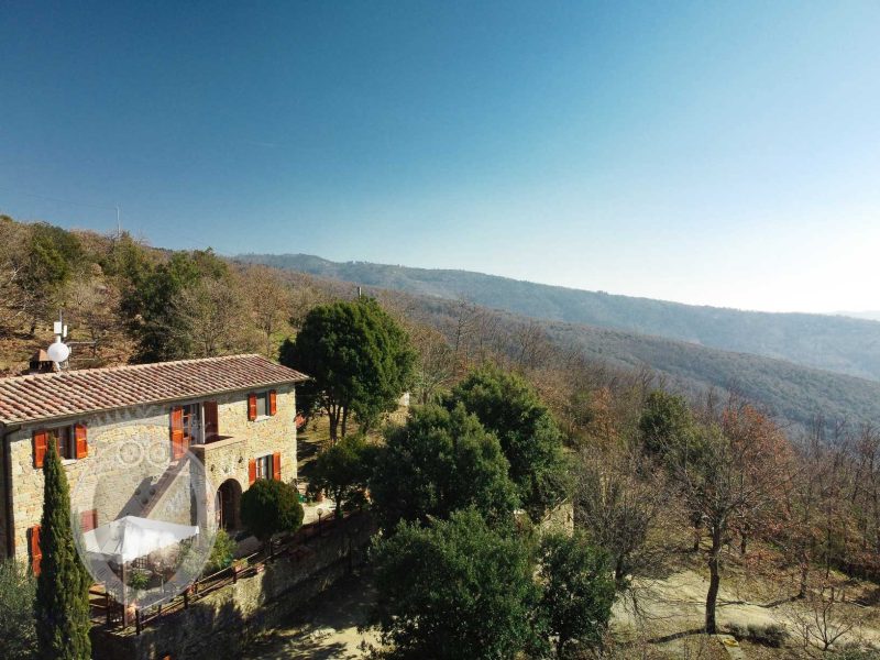 Panoramic farmhouse