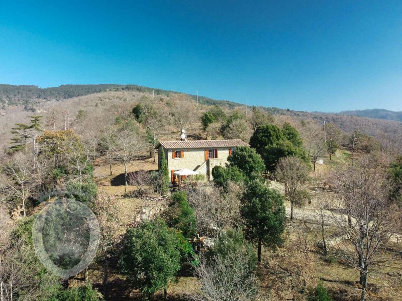 Panoramic farmhouse