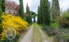 Colonica tra Cortona e Montepulciano