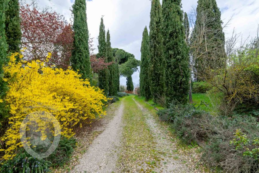 Colonica tra Cortona e Montepulciano