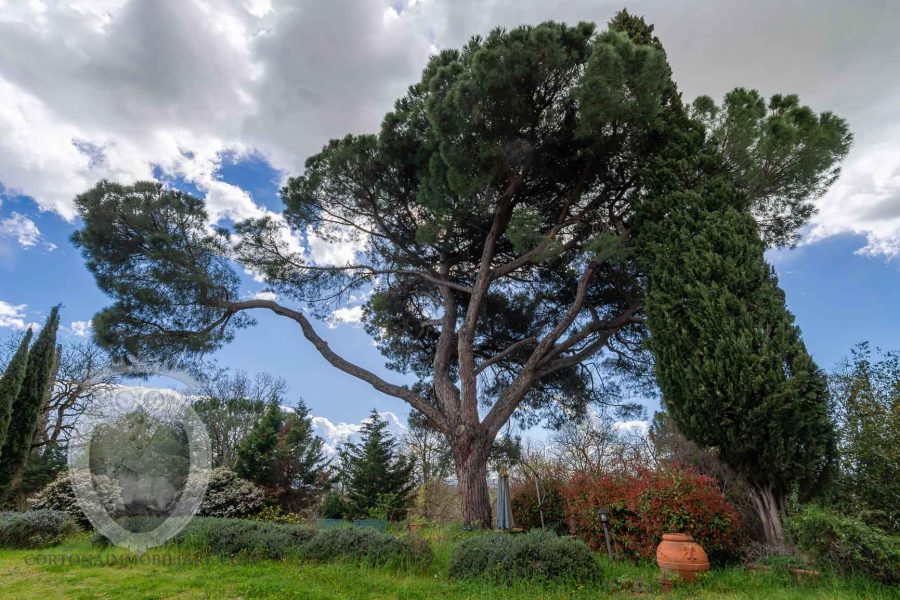 Farmhouse between Cortona and Montepulciano