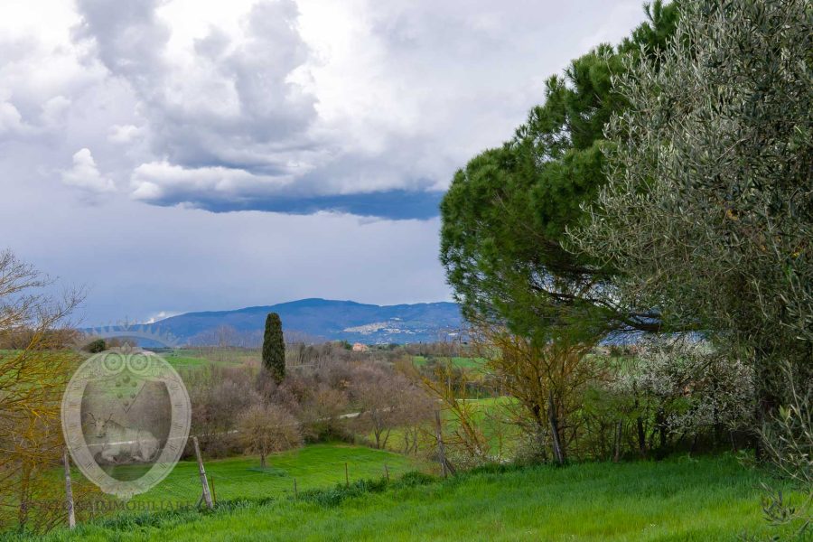 Farmhouse between Cortona and Montepulciano