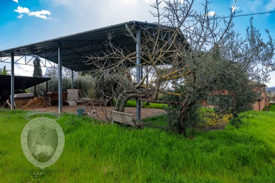 Farmhouse between Cortona and Montepulciano