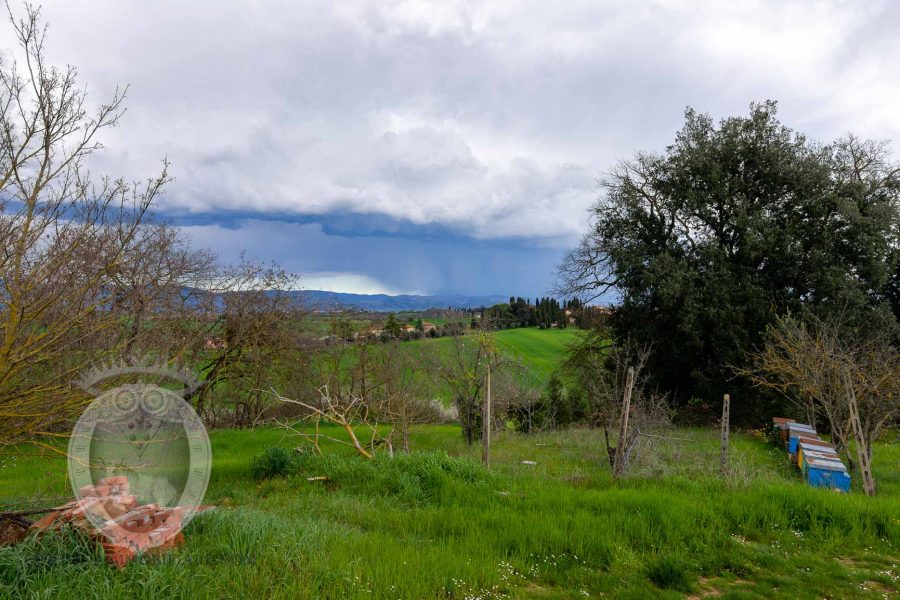 Farmhouse between Cortona and Montepulciano