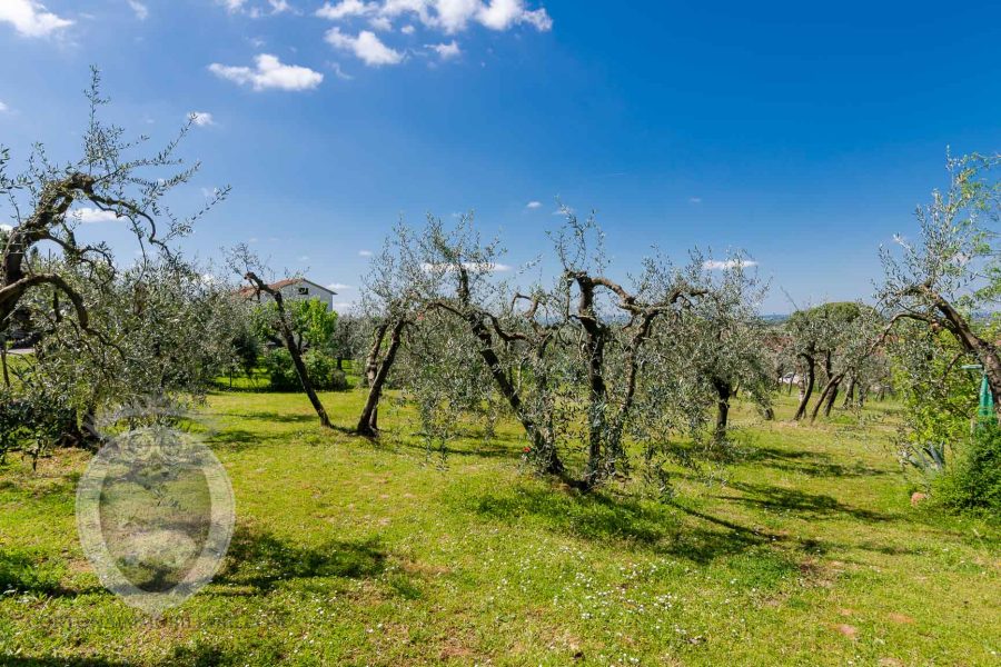 Renovated farmhouse a stone's throw from the castle of Montecchio