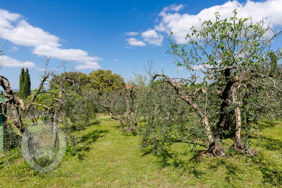 Renovated farmhouse a stone's throw from the castle of Montecchio