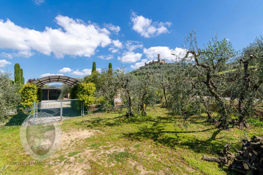 Renovated farmhouse a stone's throw from the castle of Montecchio