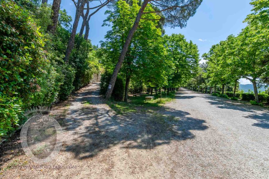 Villa dell’ Alberone