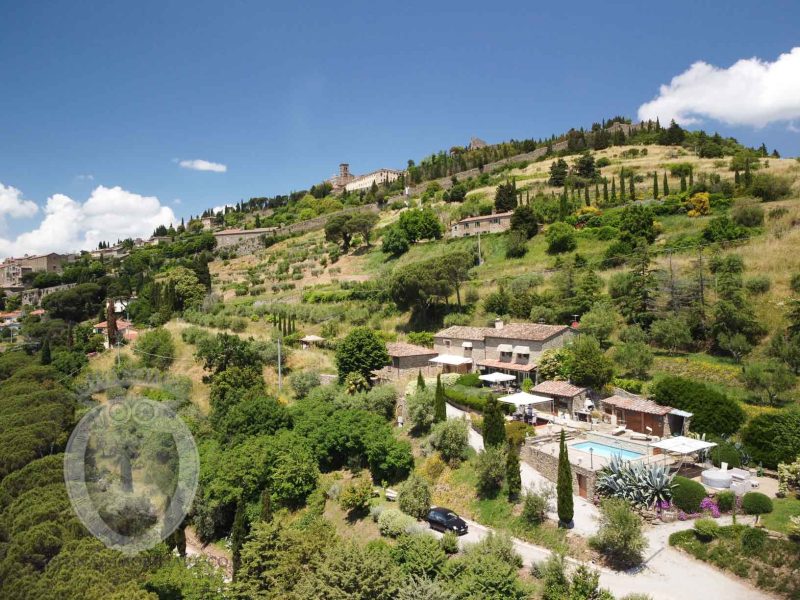 Villa dell’ Alberone