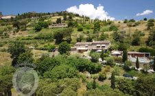 Villa dell’ Alberone