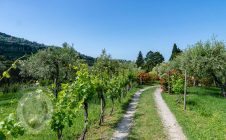 Villa in pietra a due passi da Cortona