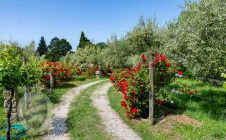 Villa in pietra a due passi da Cortona