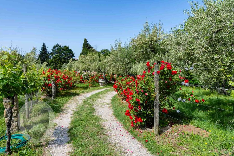 Villa in pietra a due passi da Cortona